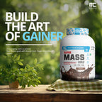 Build The Art Of Gainer