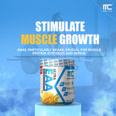 Muscle Club EAA